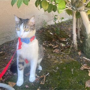 Meet your Posher, Audrey